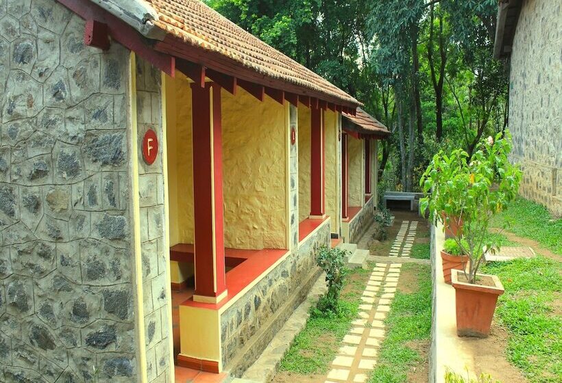 אתר נופש The Last Shola