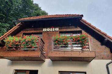 住宿加早餐  Pensiunea Nossa Panzió