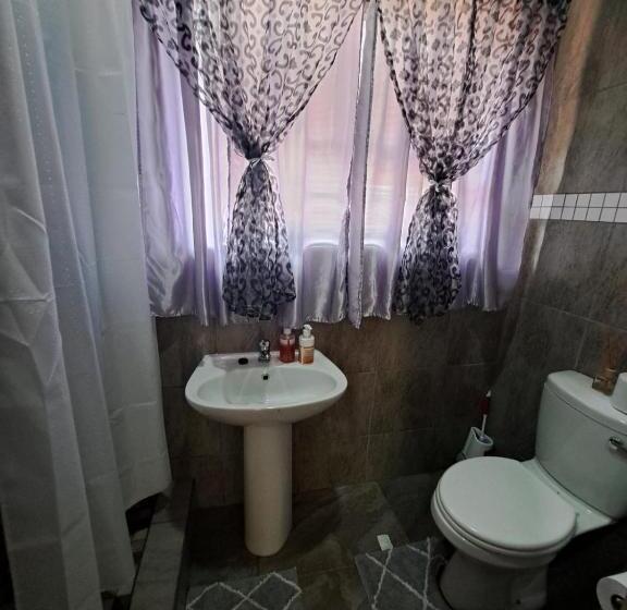 펜션 Ndlovu Guesthouse Northam