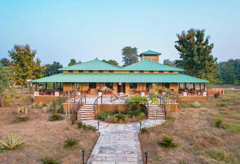 渡假胜地  Naaharbagh Rajgarh