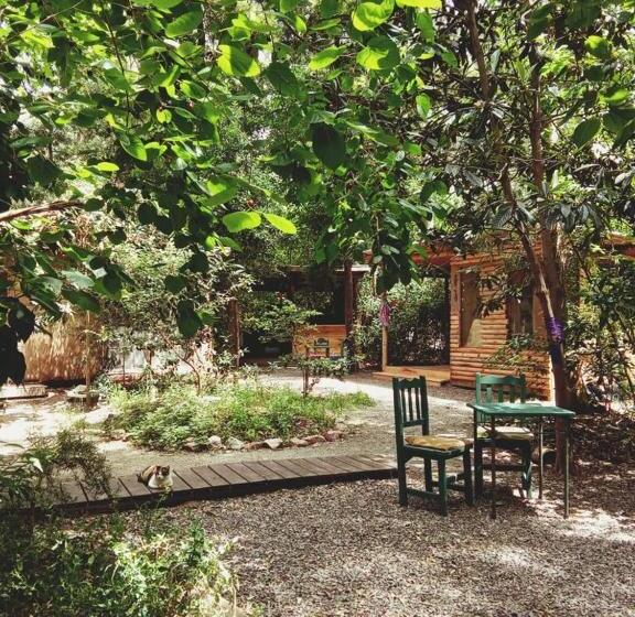 住宿加早餐  Tierra Fértil Eco Posada
