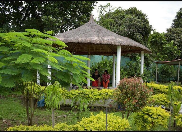 فندق Falcon Jungle Resort