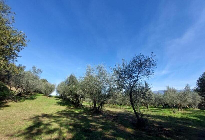 فندق Podere Delle Arti
