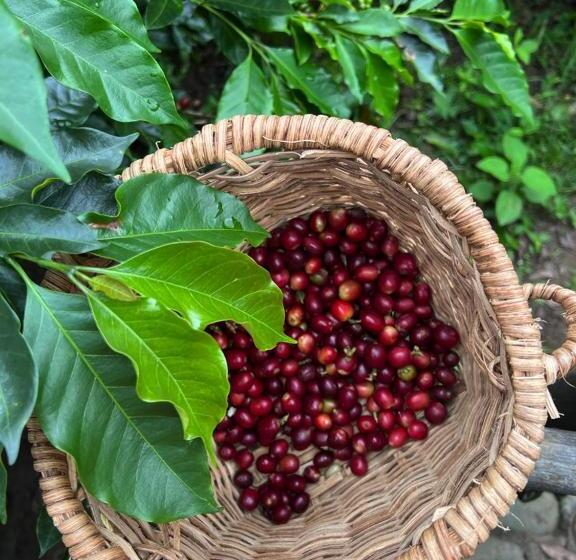 La Perla Finca Hotel Glamping Cornalina