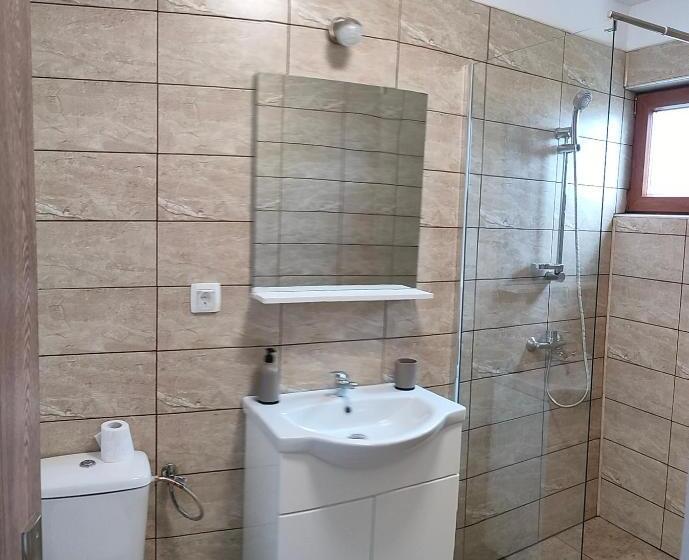 بنسيون Casa Vicu