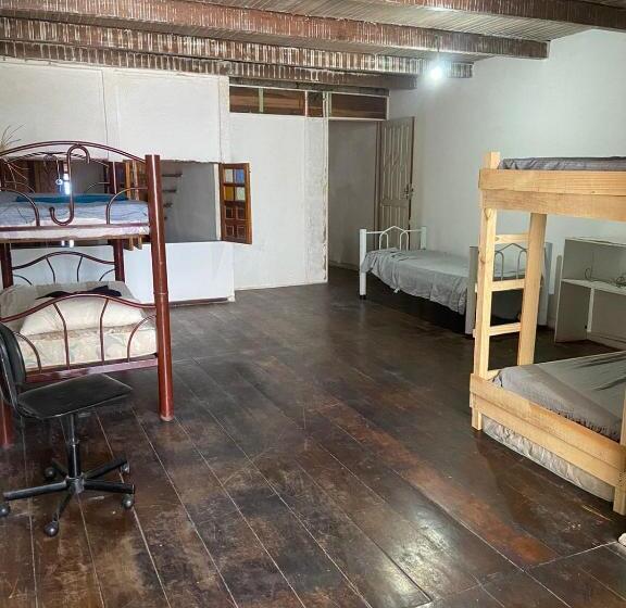 هاستل Cararão Afeto