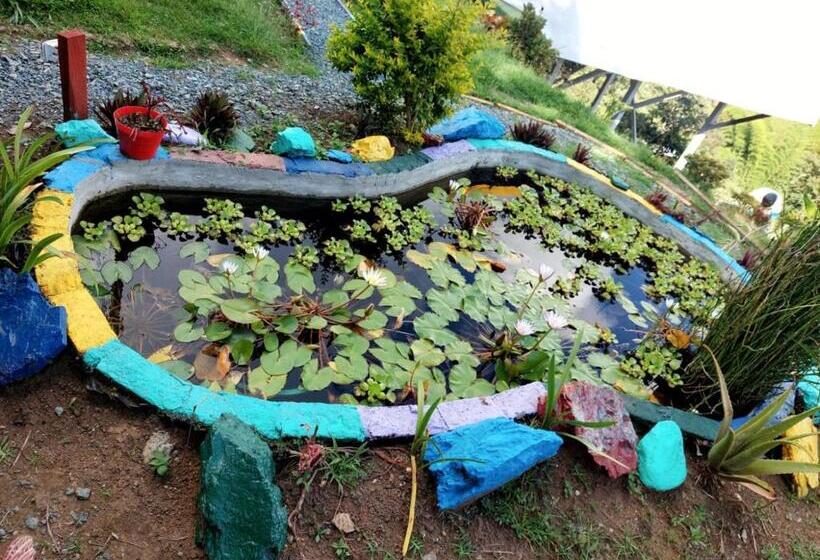 پانسیون Hostel Paraiso De Colores