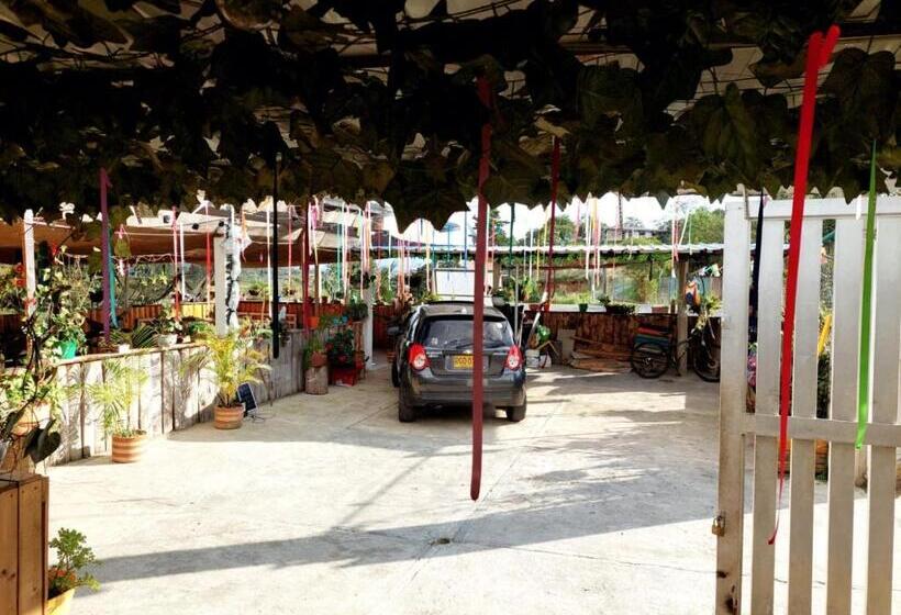 پانسیون Hostel Paraiso De Colores