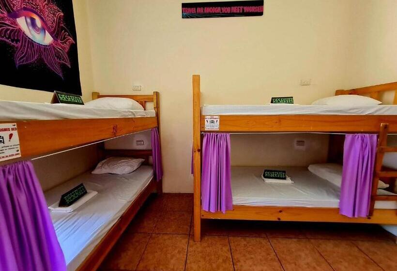 پانسیون Slow Monkey Hostel