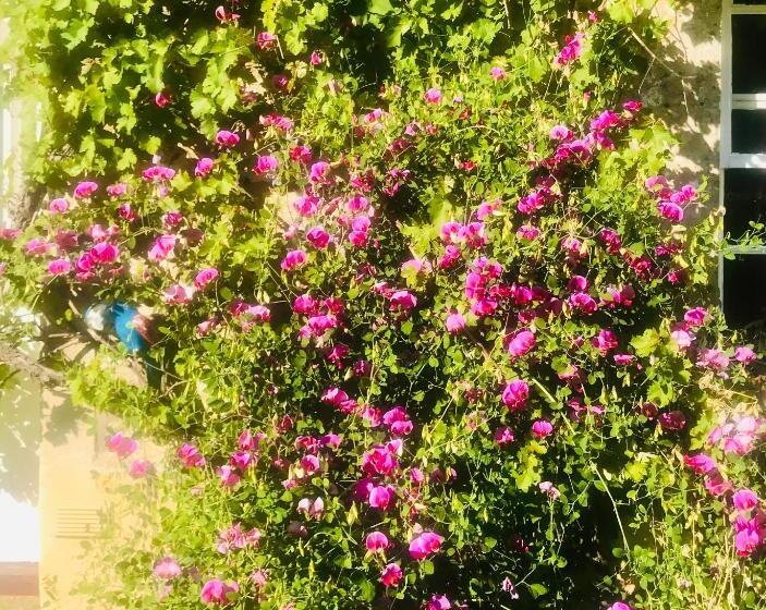 بنسيون The Old Post Office Studio Apartment In A Beautiful Cotswold Village