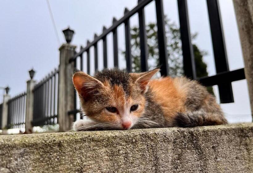 민박 Ej’s Frontyard The Home Cafe & Stay
