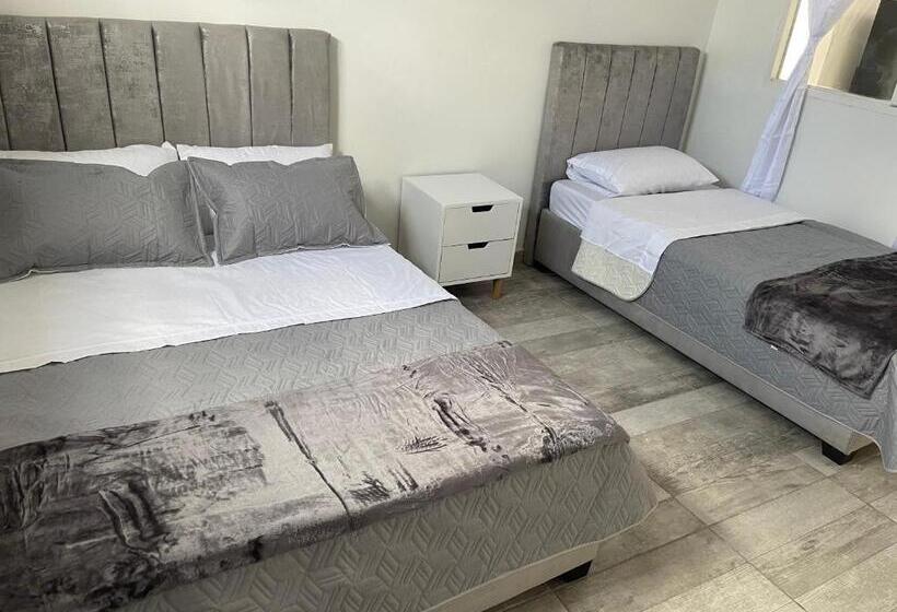 تختخواب و صبحانه The Dreams Alojamineto