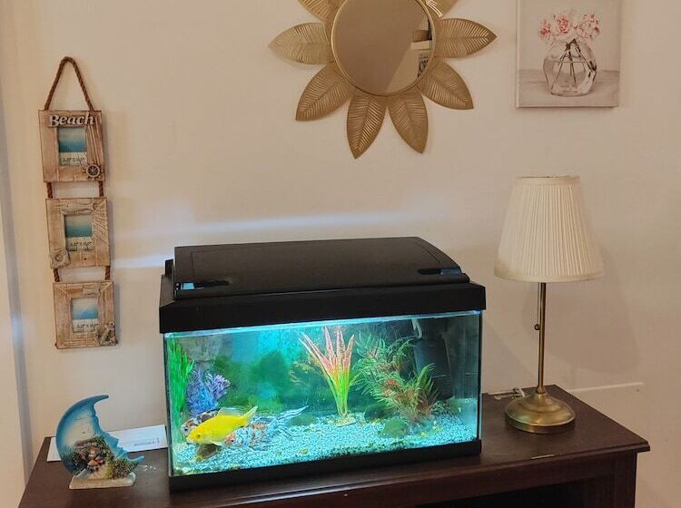 تختخواب و صبحانه Las Salinas House Private Rooms