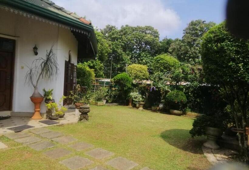 Blossoms Apartment 20 Min From Air Port