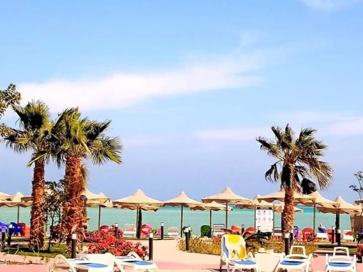 Casablanca Beach   Hurghada   Red Sea With Free Fast Wi Fi