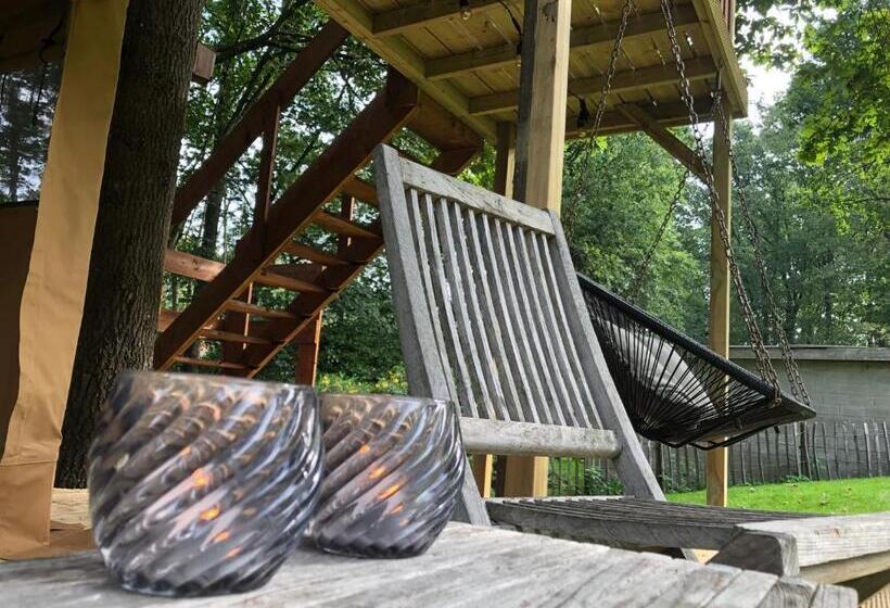 膳宿费 Kabana   Eco Forest Suite