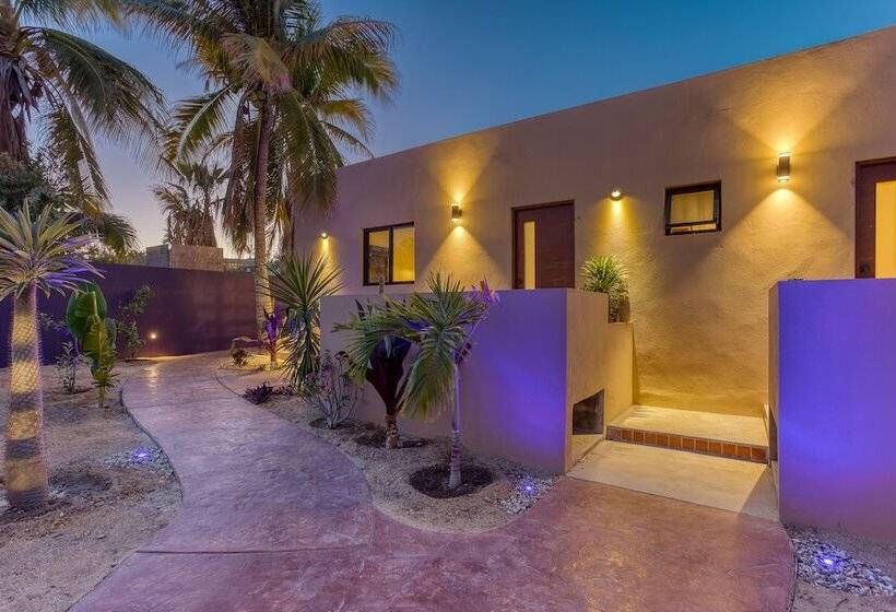 فندق Hondo