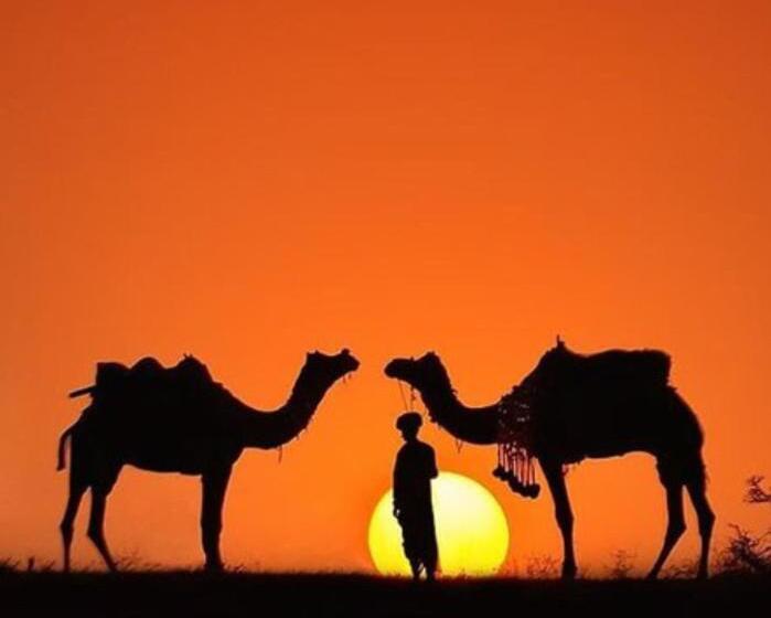 منتجع Rising Star Desert Camp