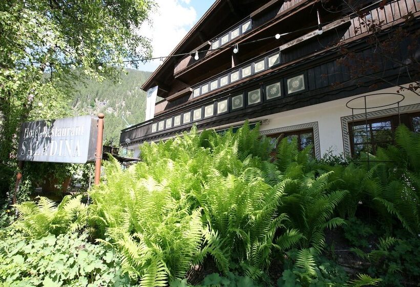 Bio Hotel Saladina