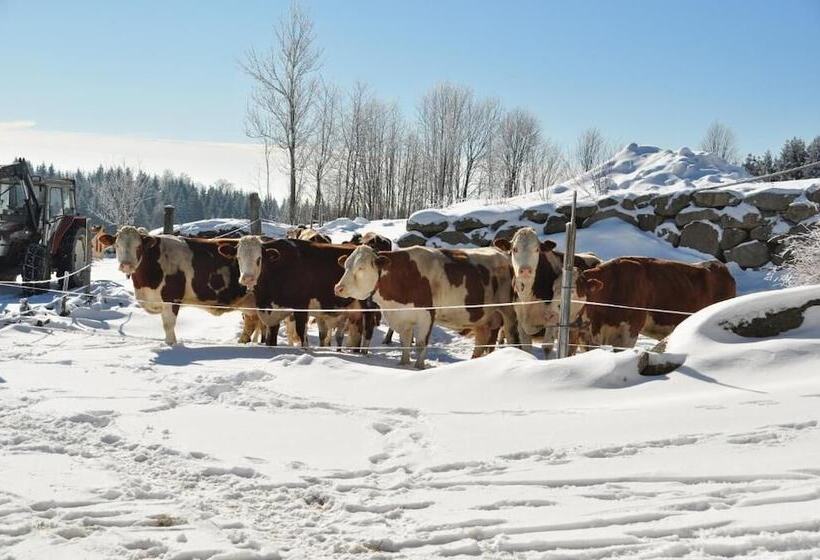 ホテル Mittereibenberger