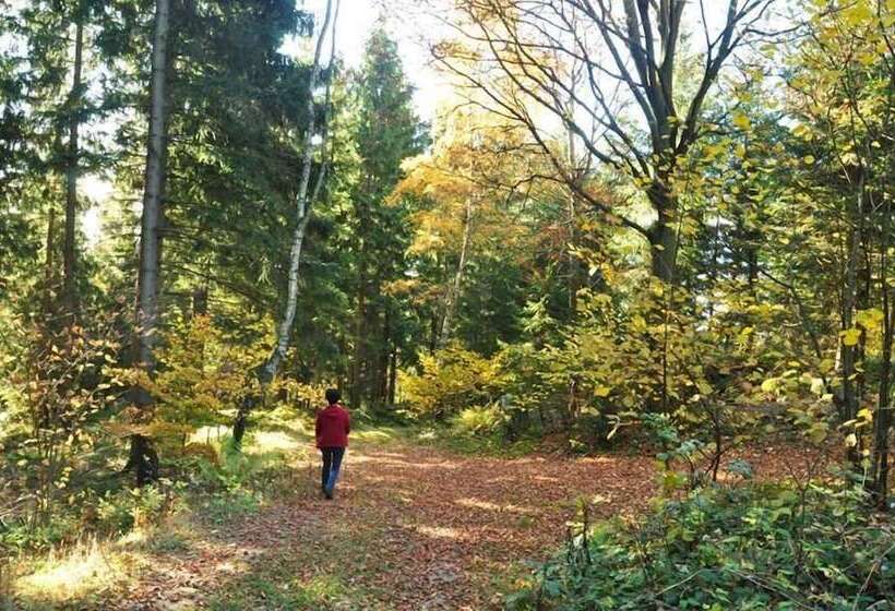 ホテル Mittereibenberger