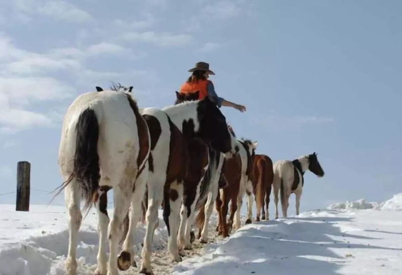 ホテル Espi Stables Ferienhof Esterhammer