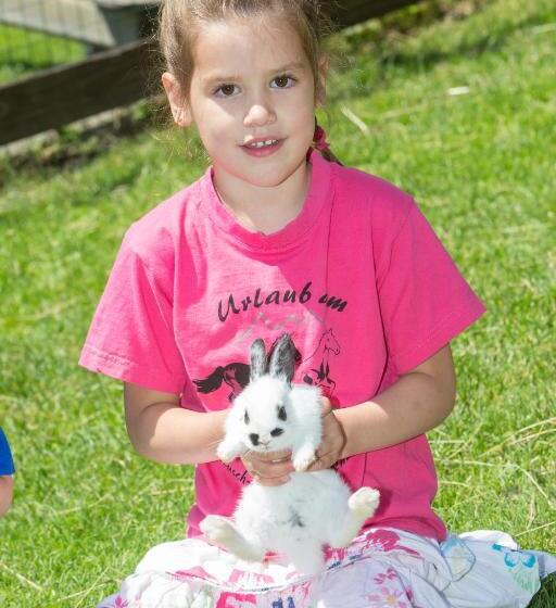 فندق Feriendorf Ponyhof