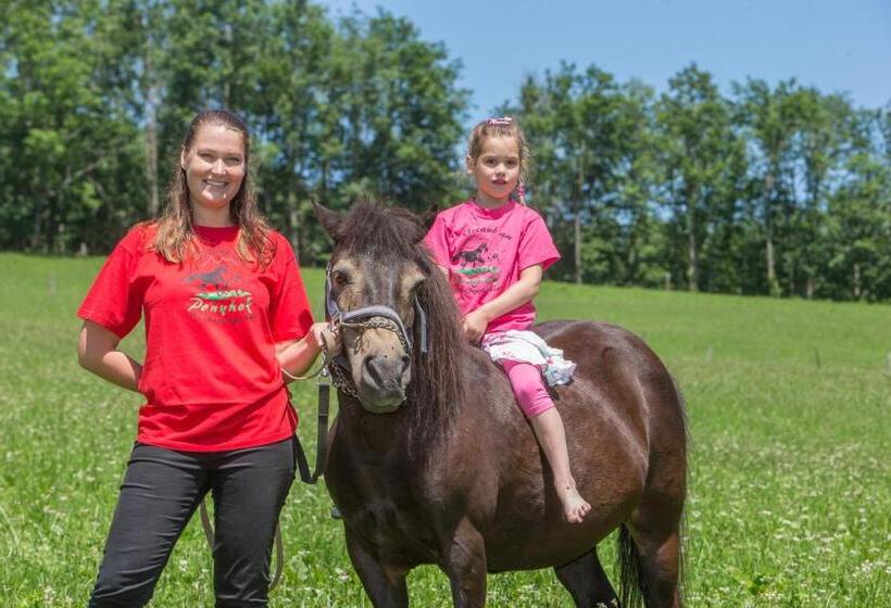 فندق Feriendorf Ponyhof