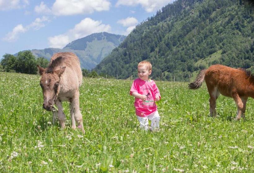 فندق Feriendorf Ponyhof