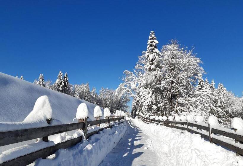 בית מלון כפרי Pension Leitner