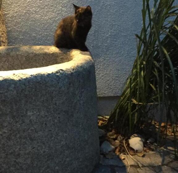 ホテル Pension Sunnseitn   Gasthof   Café   Weinkeller