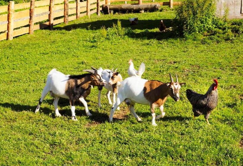 בית מלון כפרי Steinbachgut