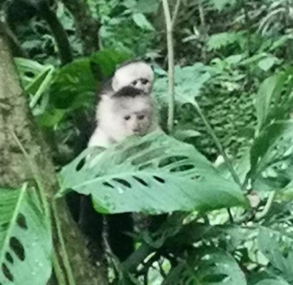 مبيت وإفطار Casita Maripier Colón