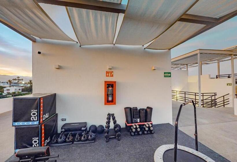Cardinal Living San Jose Del Cabo D 301