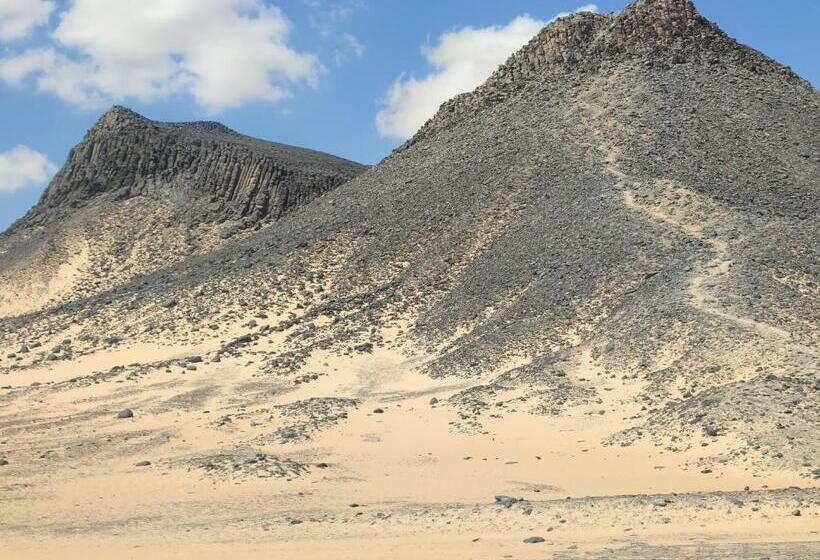 هتل Sand Rose
