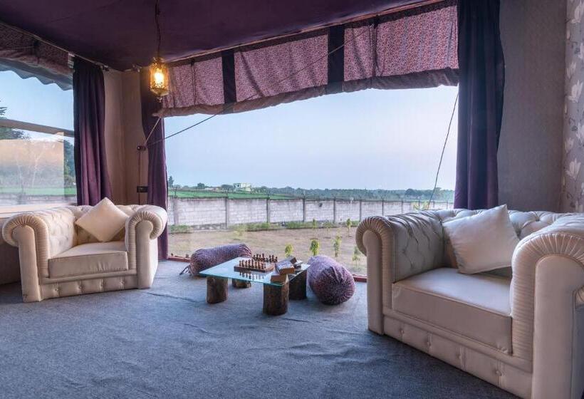 فندق Shalom Corbett’s Hillside Hideaway