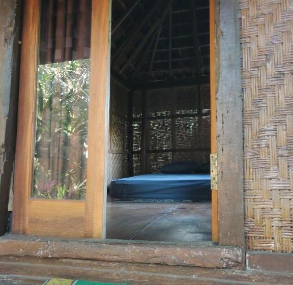 Panzió Clove Garden