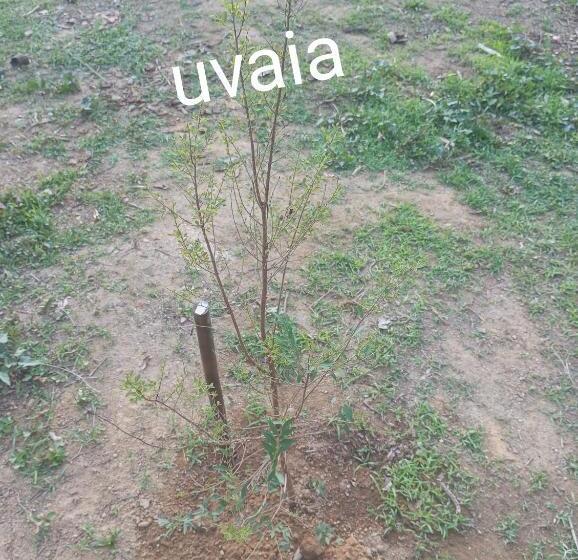 펜션 Pousada 5 Cachoeiras