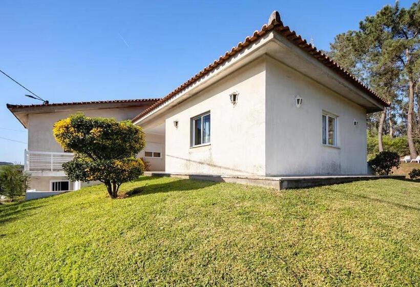 پانسیون Villa Da Floresta