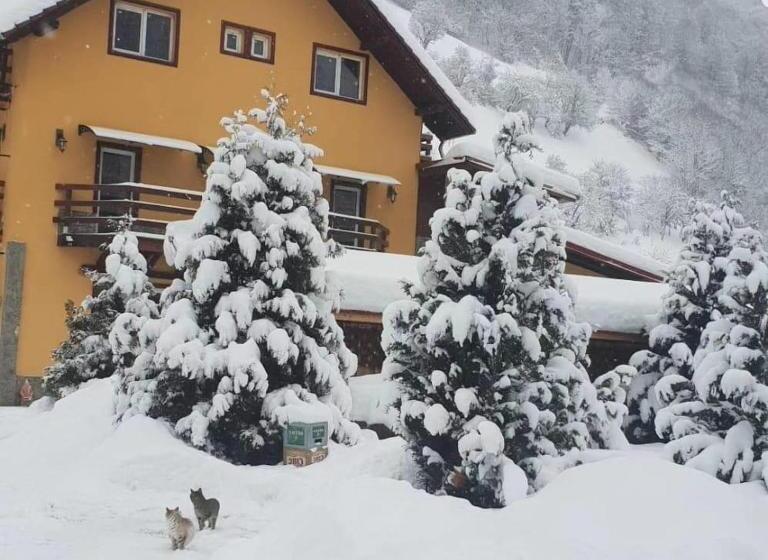 Pensiunea Mari Haus