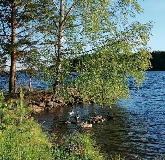 مبيت وإفطار Birgittagården   Gästhem   Birgittasystrarna