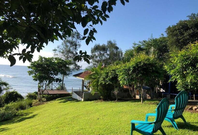 ホテル Cabañas El Robalero Pedasí