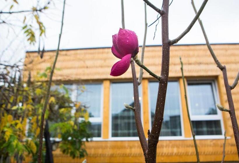 ペンション Casa Cu Magnolii