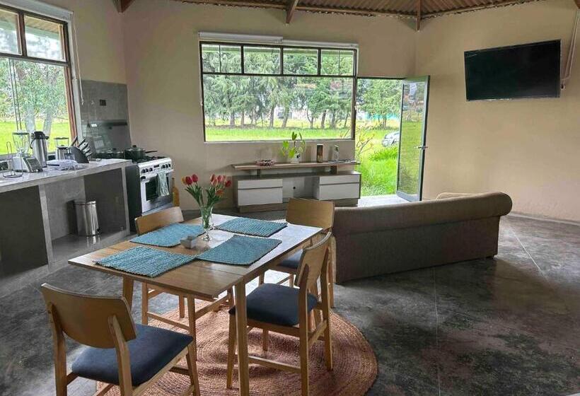 پانسیون Room In Bungalow Loft Del Fundo Del Abuelo