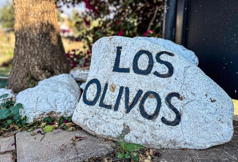 تختخواب و صبحانه Casa Los Olivos