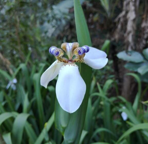 مبيت وإفطار Casita Maripier