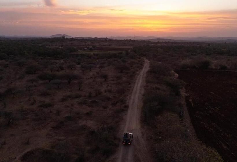 فندق Daksh Eden Greenz  A Luxury Resort In Sasan Gir
