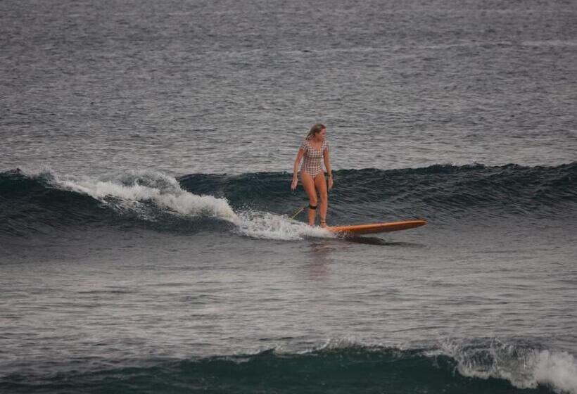 Отель Melody Surf Camp Ekas Lombok