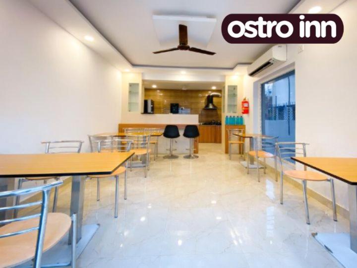پانسیون Ostro Inn Newtown