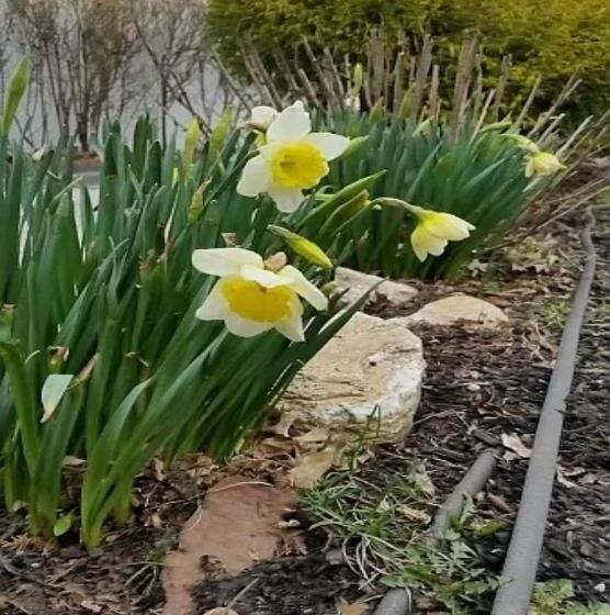 פנסיון Room In House   Charming Private Double Room Complete3